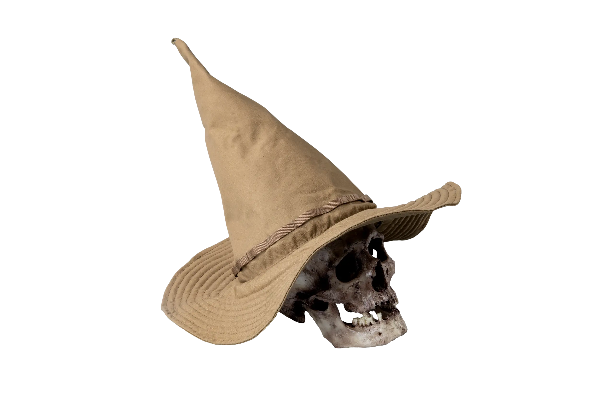 картинка Шапка Wizard от магазина Одежда+