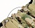 картинка Гамаши облегченные военные тактические от магазина gear-craft.ru